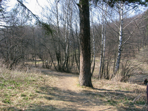 23920 (a): :1024x768